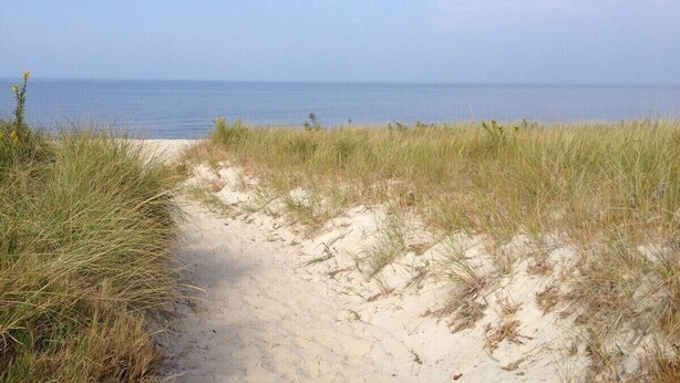 A sandy path leading to the beach with grass on either side.