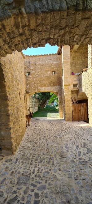 Un patio de piedra con un arco que da a un jardín.
