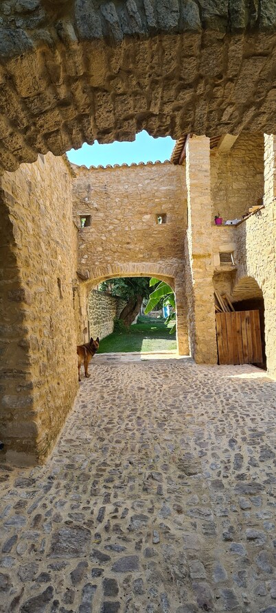 Atypical cottage and very comfortable in the heart of a hamlet gardois