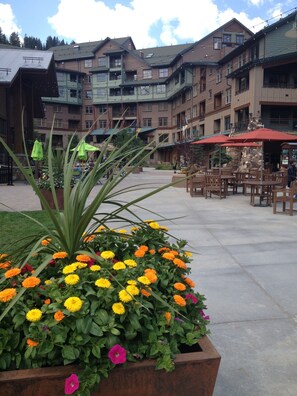 Outdoor dining - Ski in/out condo,K Bed,memory foam Q pull-out,xbox,deck has grill,shared hot tub (Winter Park)