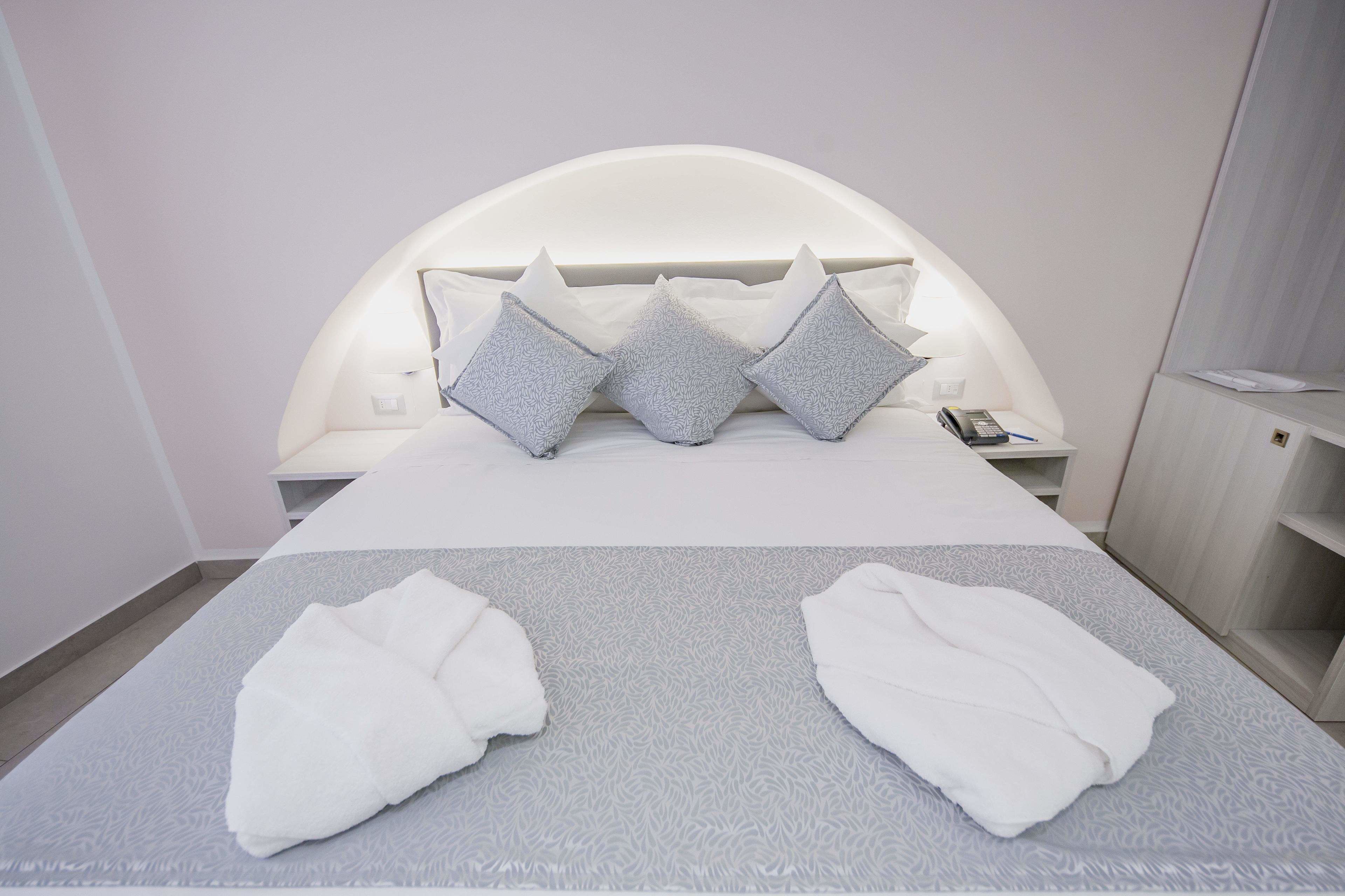 basic double room | 1 bedroom, down duvets, minibar, in-room safe