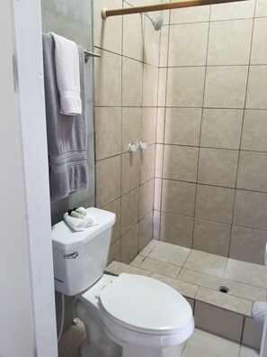 Regadera, toallas, jabón, shampoo 