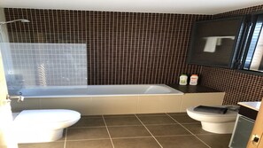 Combined shower/bathtub, hair dryer, bidet, towels