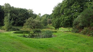 Ein üppiger, grüner Park mit Teich, Bäumen und einer Rasenfläche.