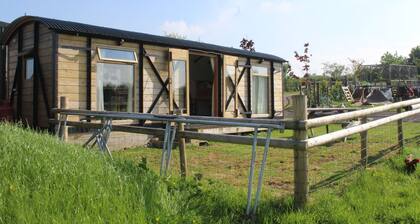 Greenacres Self Catering Railway Wagon-Glamping
