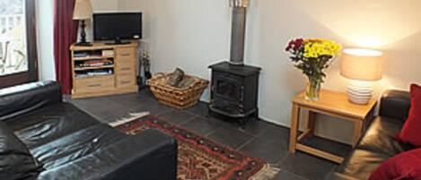 Smart-tv, pejs, bøger, videobibliotek