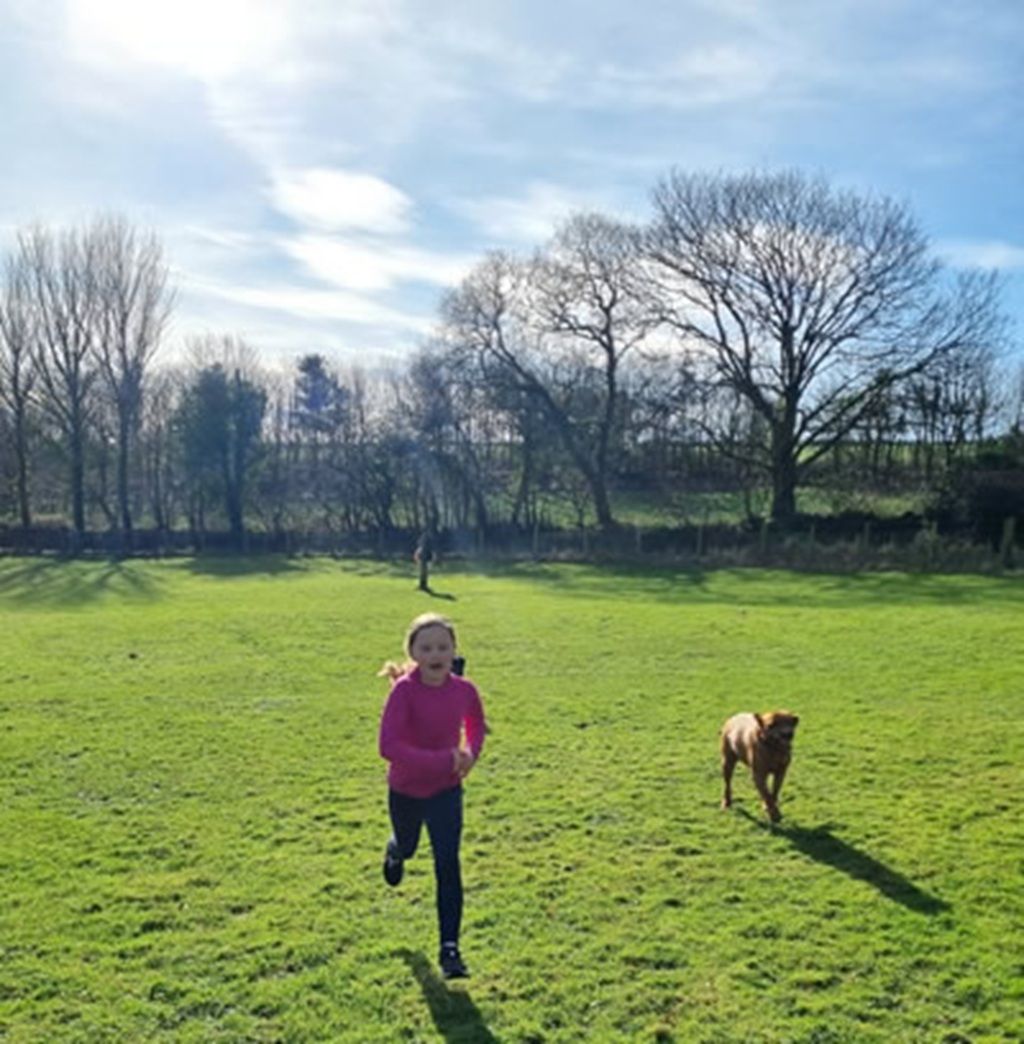 Ein grasbewachsenes Feld mit einer Person und einem Hund.