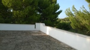 Property grounds - Villa Brigida Bed breakfast (San Pietro In Bevagna)