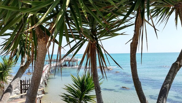 Een strand met een pier, palmbomen en een boot.