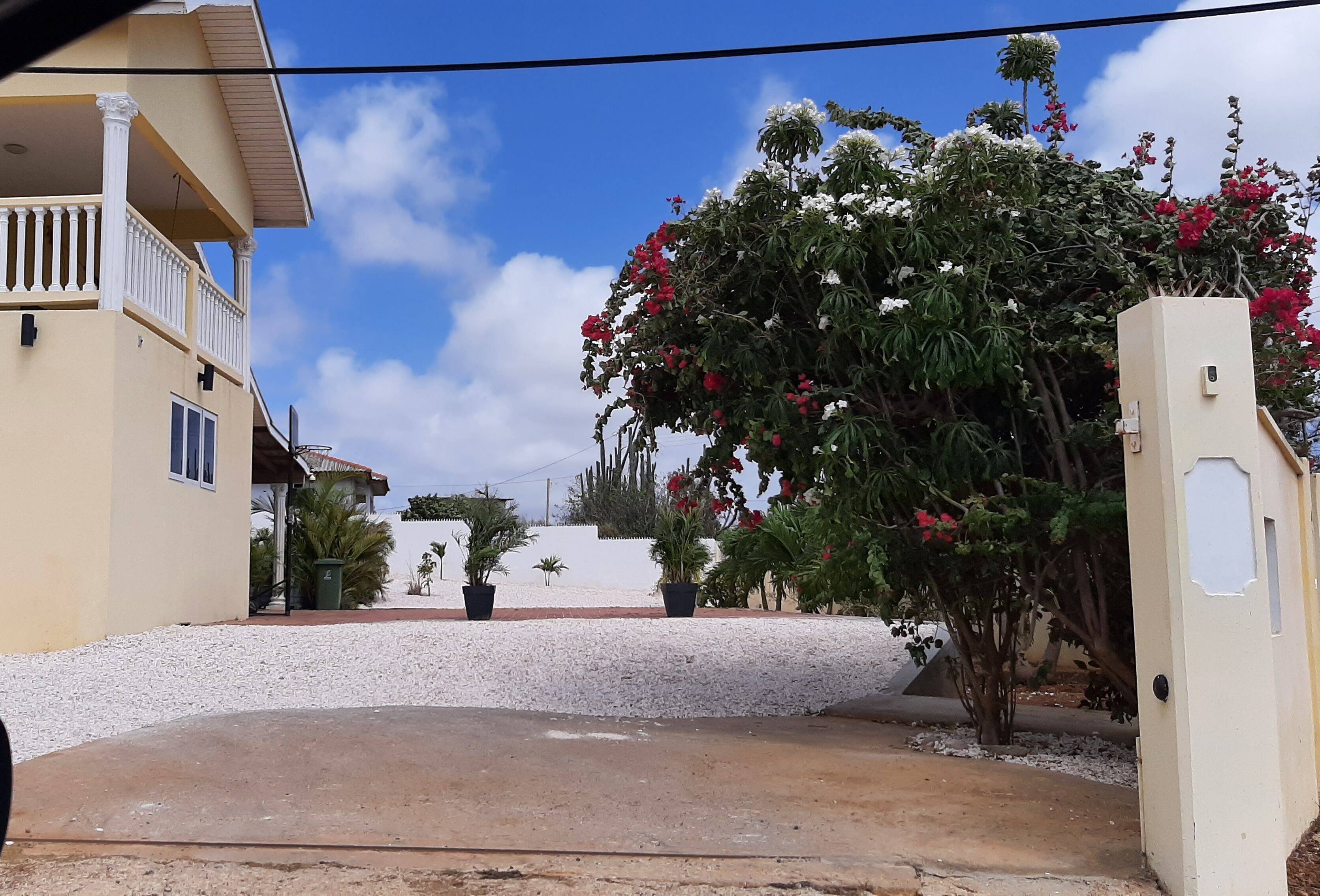Un quartier résidentiel avec une maison, un mur blanc et un arbre aux fleurs rouges.
