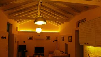 Televisión, chimenea, reproductor de DVD y libros