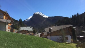 Un village de montagne aux maisons traditionnelles en bois, sous un ciel bleu azur, avec un sommet enneigé en toile de fond.