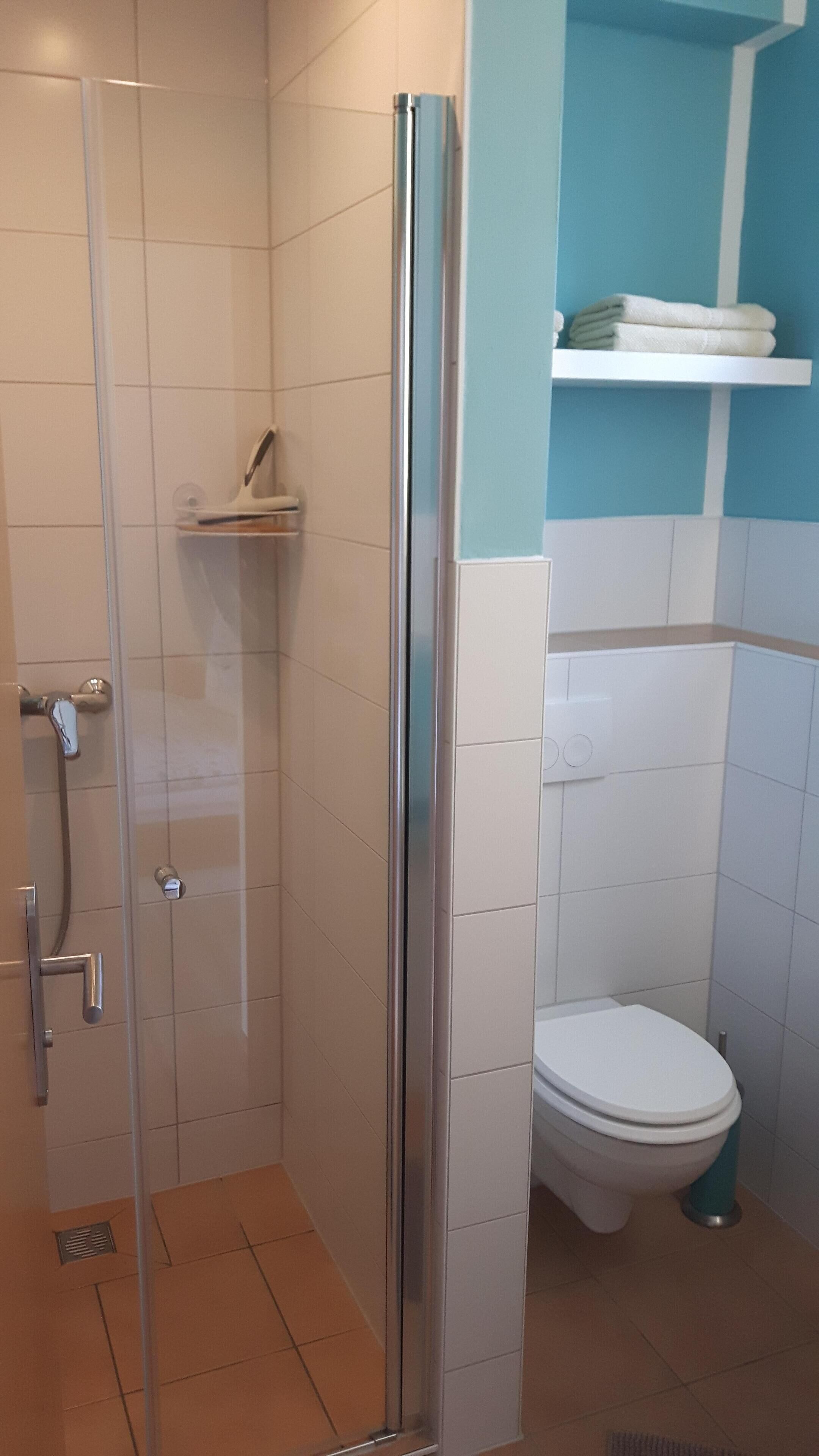 Ein Badezimmer mit Glasdusche, Toilette und einem Handtuchregal.