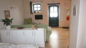 A room with a bed, a green sofa, a TV, a door, and a window.