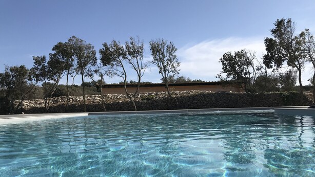 Una piscina cristalina con un muro de piedra y árboles al fondo.