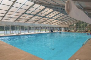 Swimmers enjoy the pool surrounded by a glass enclosure.