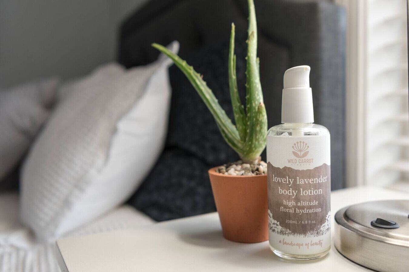 A bottle of Wild Carton body lotion next to a potted aloe vera plant on a bedside table.