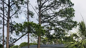 A two-story house with a wooden deck, a covered porch, and a grassy yard. - Private Waterfront Family Complex with Dock, Walk to Beach. Angler's Dream. (Tybee Island)