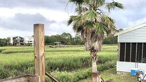 A wooden deck with a palm tree, a grassy field, and a building in the background. - Private Waterfront Family Complex with Dock, Walk to Beach. Angler's Dream. (Tybee Island)