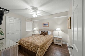 A bedroom with a bed, a ceiling fan, a nightstand, a lamp, a framed picture on the wall, and a door.