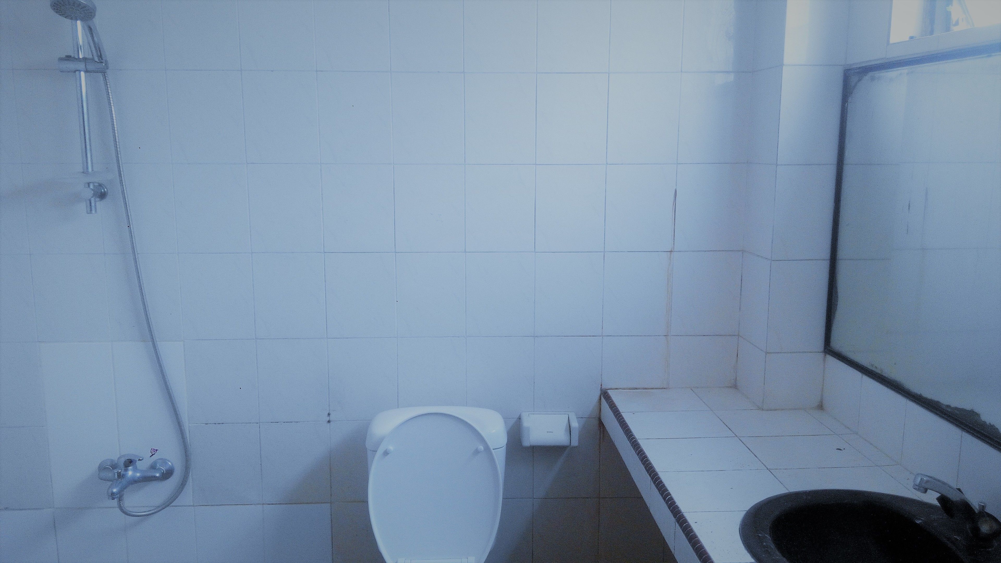 A small, basic bathroom with a toilet, a bidet, and a shower.