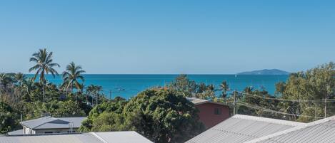 A coastal residential area with houses, palm trees, and a clear view of the ocean.