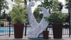 منطقة شواء/نزهات