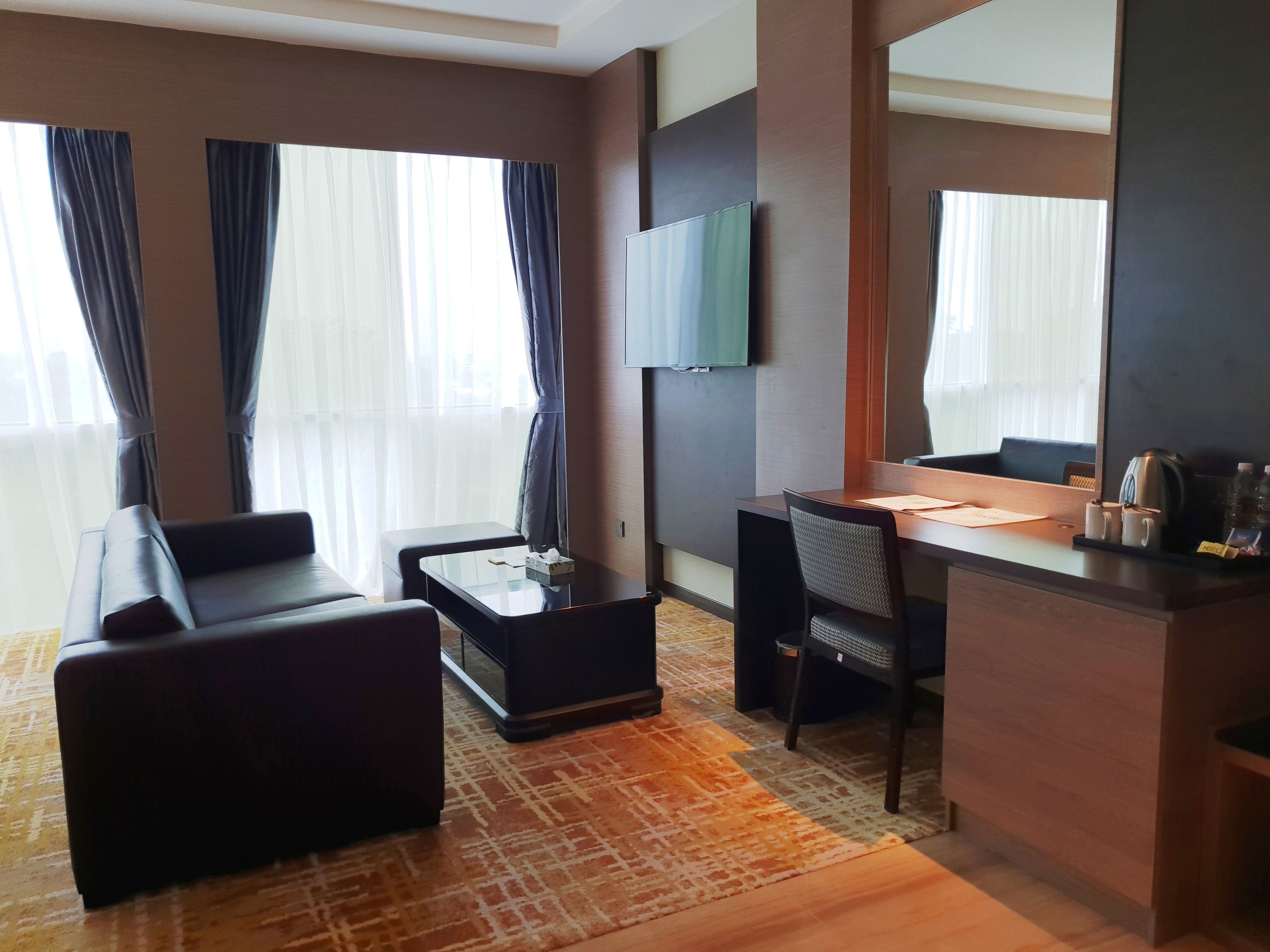 executive suite king | view from room