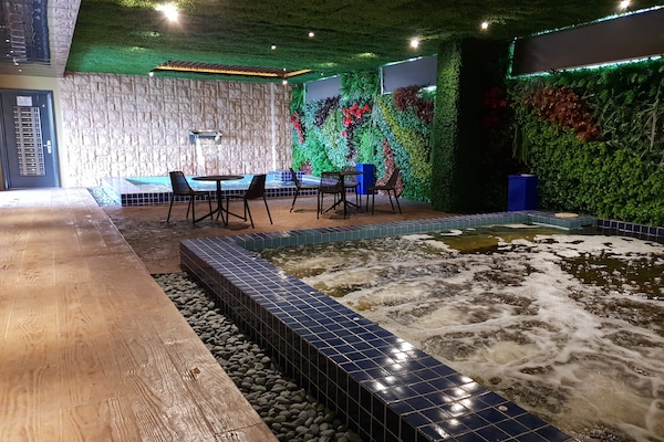 Outdoor pool, sun loungers
