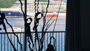 Een uitzicht op een cruiseschip dat in een haven ligt aangemeerd, met een gebouw op de achtergrond.