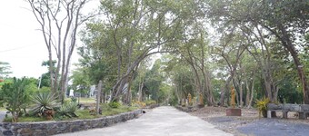 Wanghin Bungalow Donsak