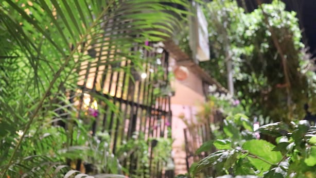 A lush indoor garden with various plants and a metal trellis structure. - Angkor Sangrith Hostel (Siem Reap)