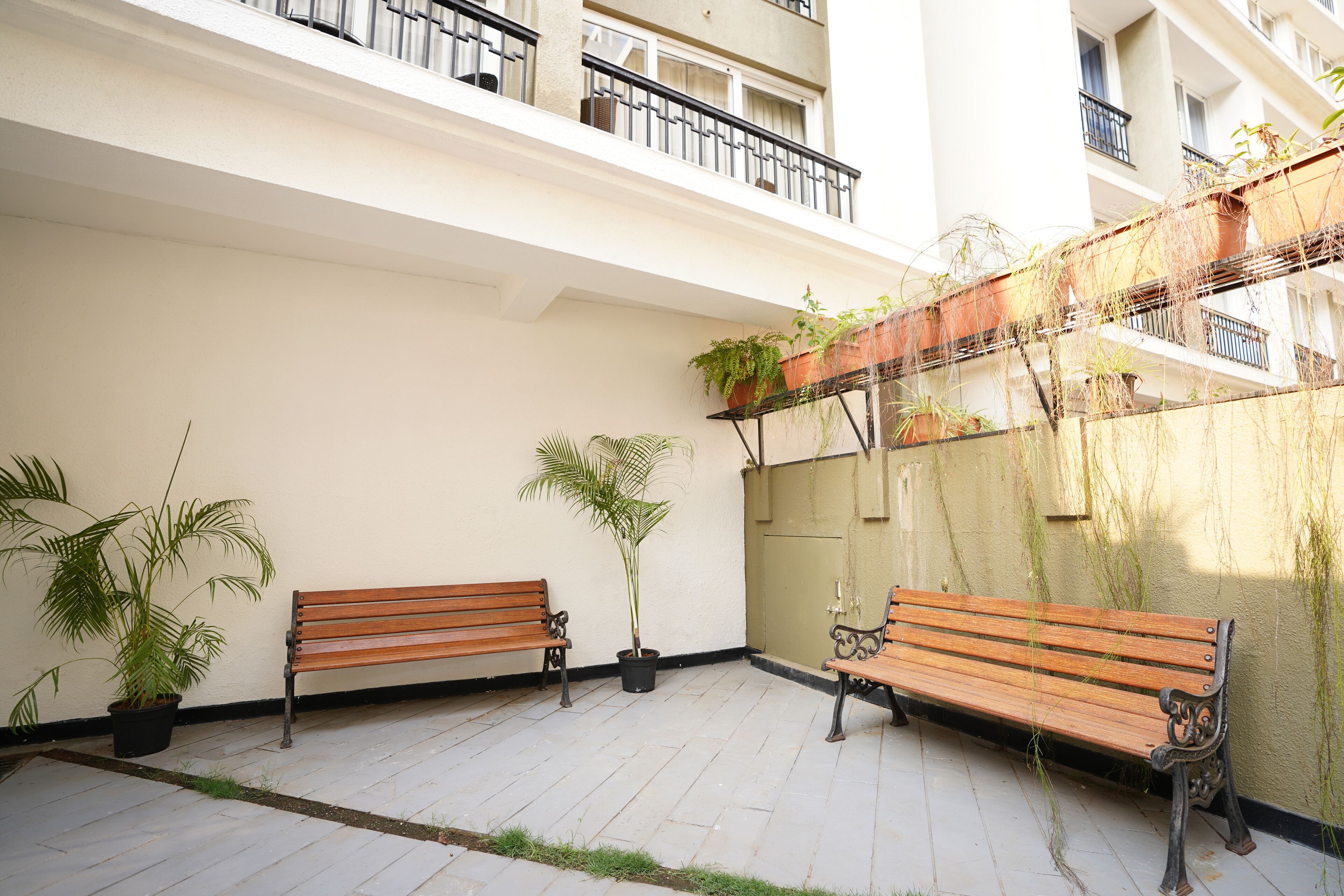 An outdoor courtyard with two wooden benches, potted plants, and a white wall.