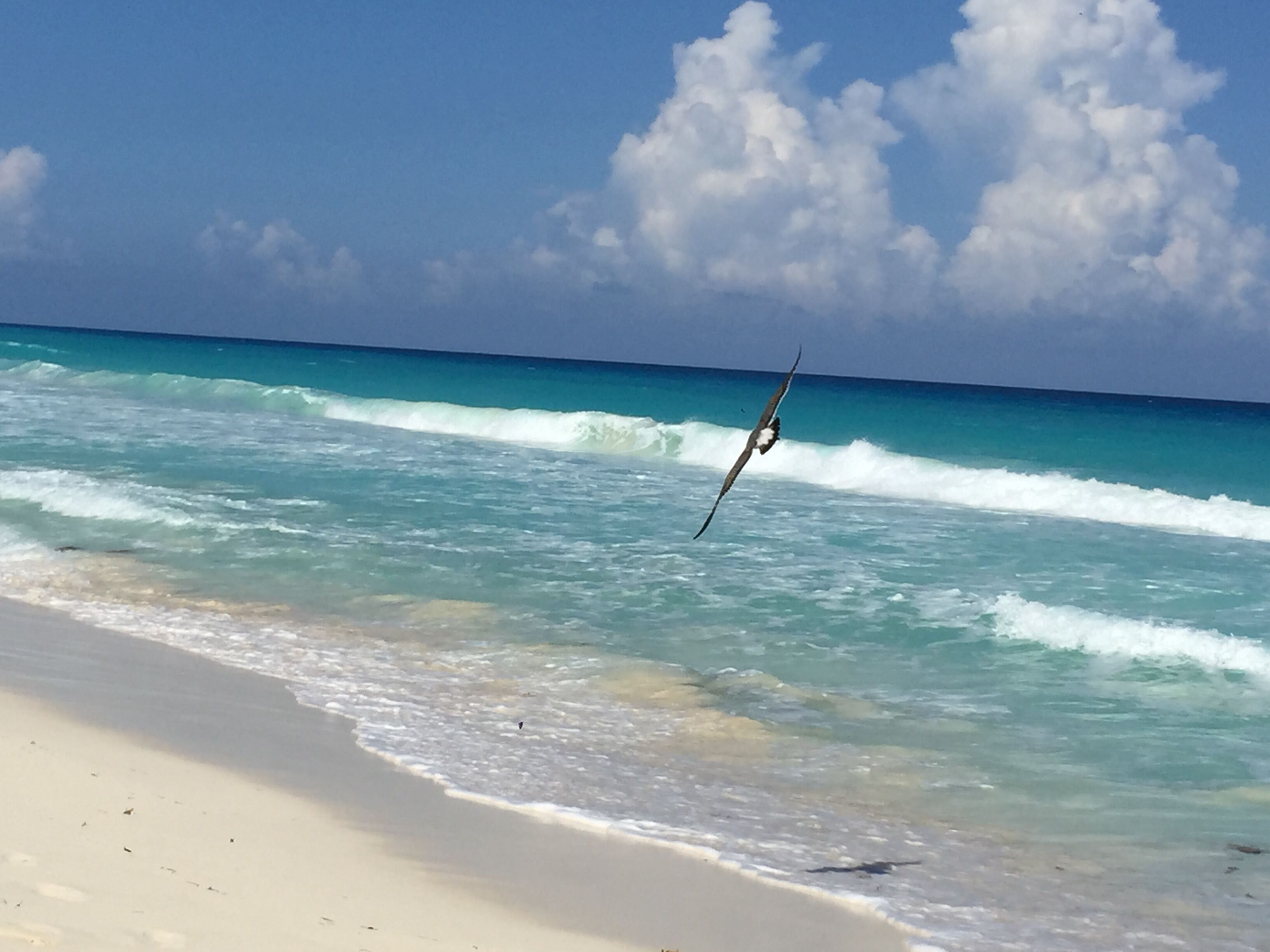 Sur la plage