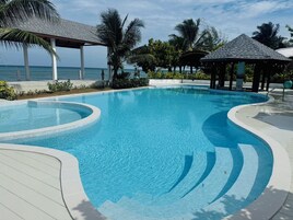 Una piscina azul cristalina con diseño curvo, rodeada de palmeras y vistas al océano.