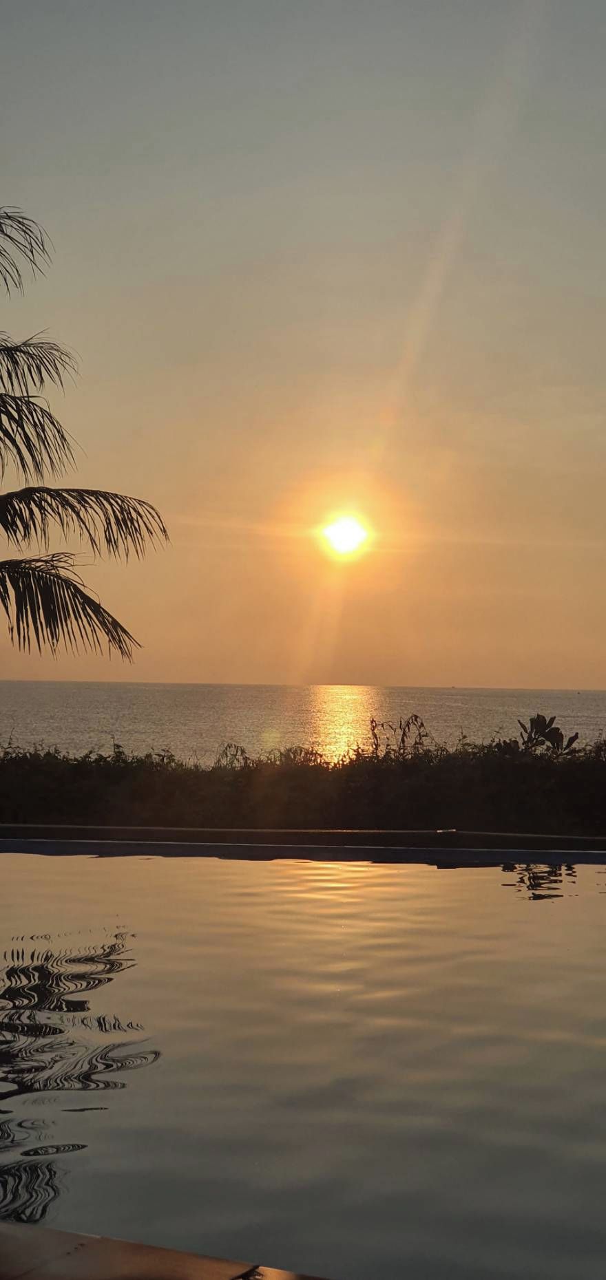 A sunset over a calm body of water with a silhouette of palm trees.