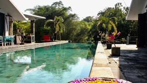 A clear swimming pool with a wooden edge, surrounded by potted plants and a red chair. - Le Mirage Villa Santai (Sukasada)