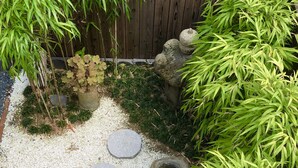 A garden with a gravel path, bamboo plants, and a wooden fence.