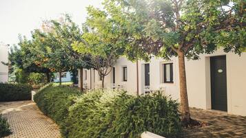 1 habitación, sábanas de algodón egipcio y ropa de cama de alta calidad