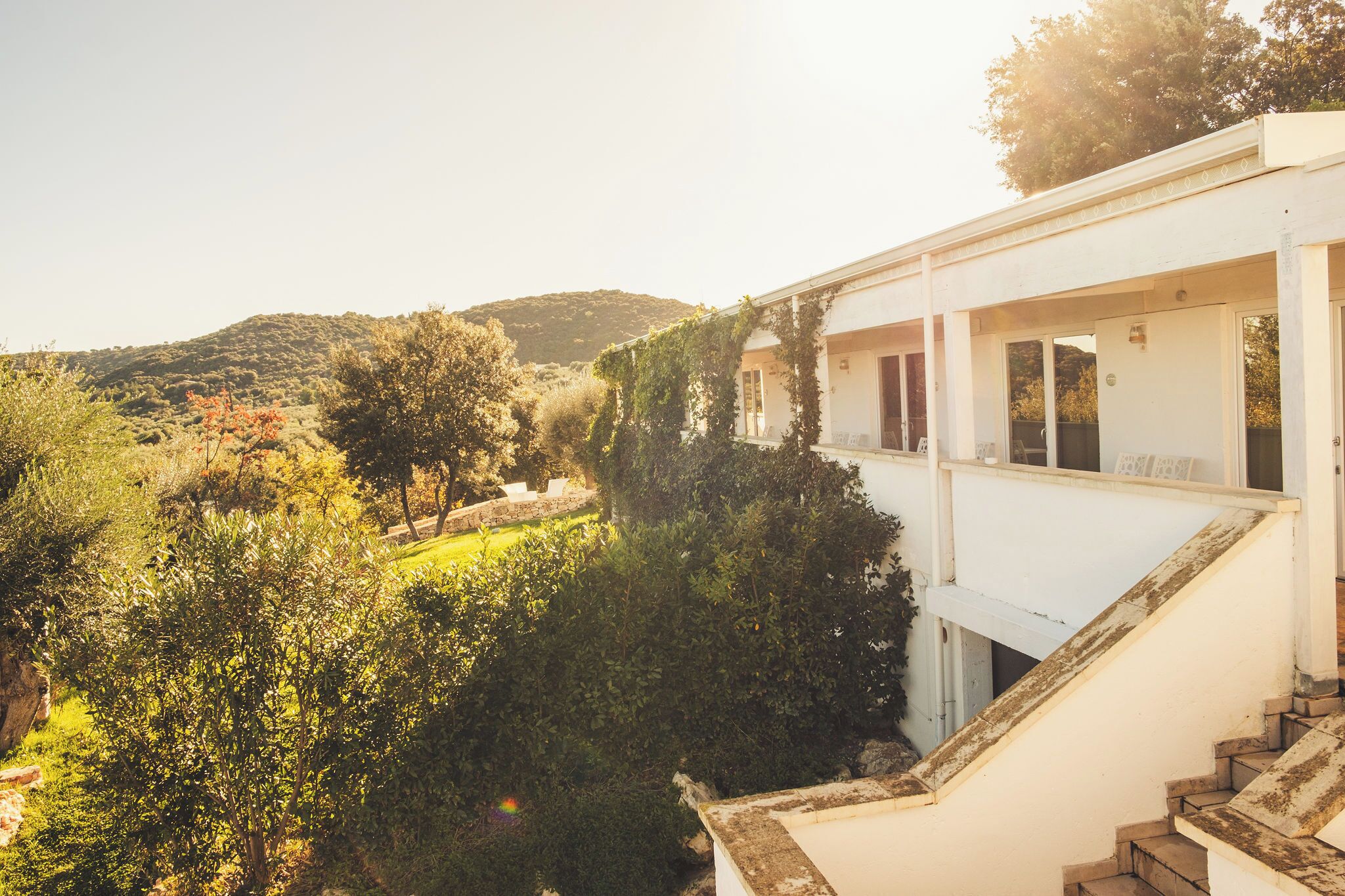 Photo - Masseria Santa Teresa