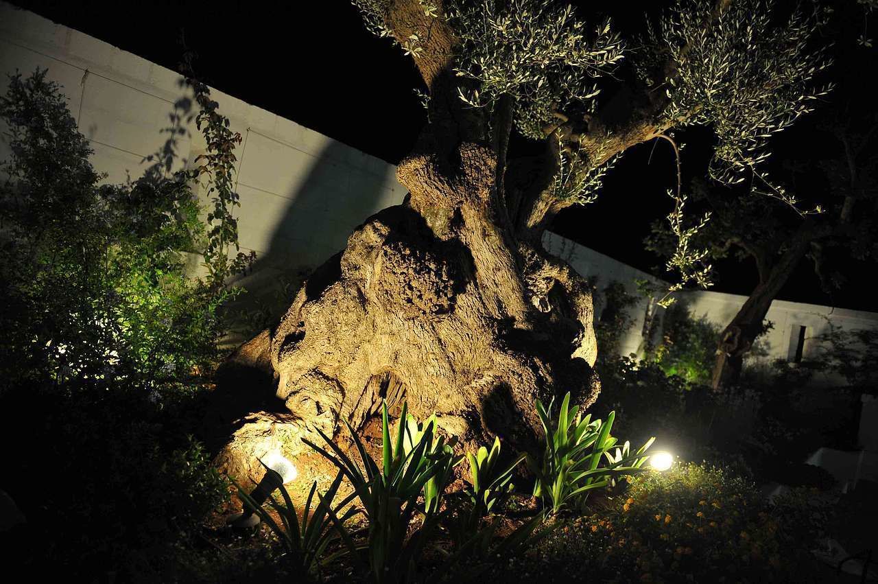 Photo - Masseria Santa Teresa