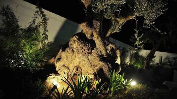 Una gran formación rocosa con un árbol creciendo sobre ella, rodeada de diversas plantas e iluminada por luces artificiales.