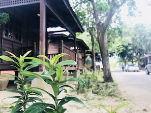 Design Room (Wooden) | Pemandangan taman