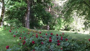 A garden with red flowers and green grass. - Chateau de Laric (Chabestan)