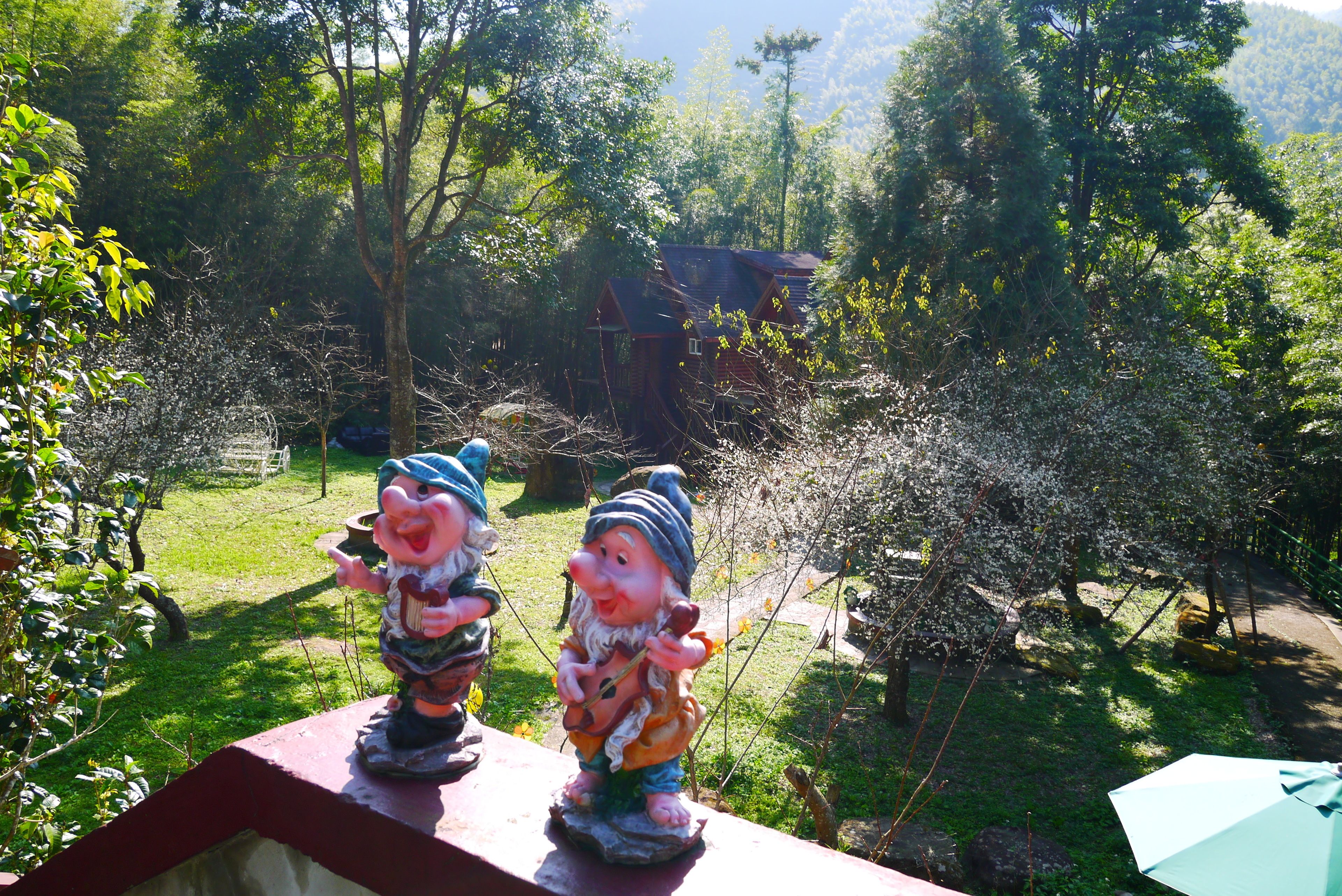 庭園