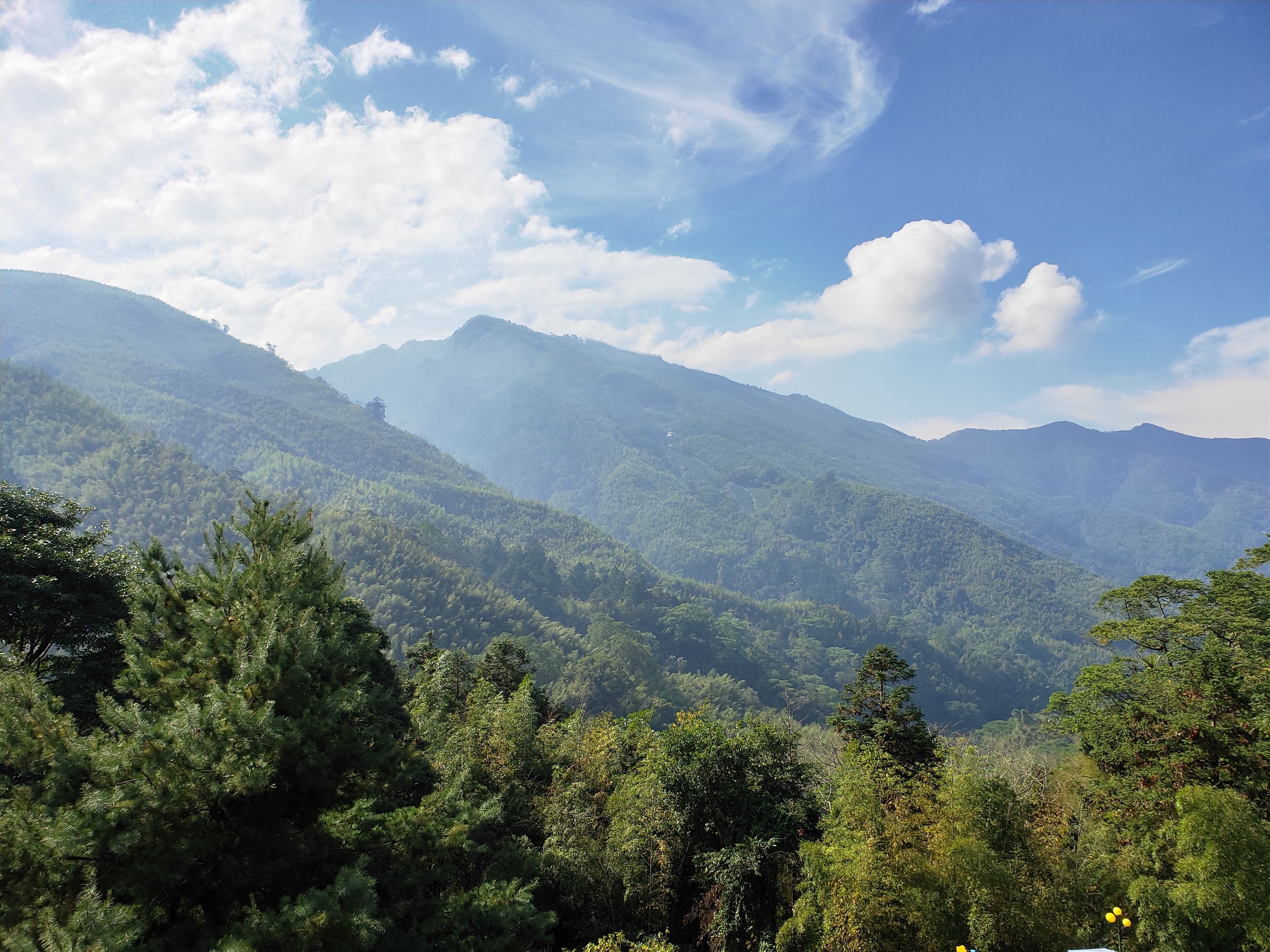 Un paisaje montañoso con bosque denso.