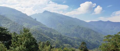A mountainous landscape with dense forest.