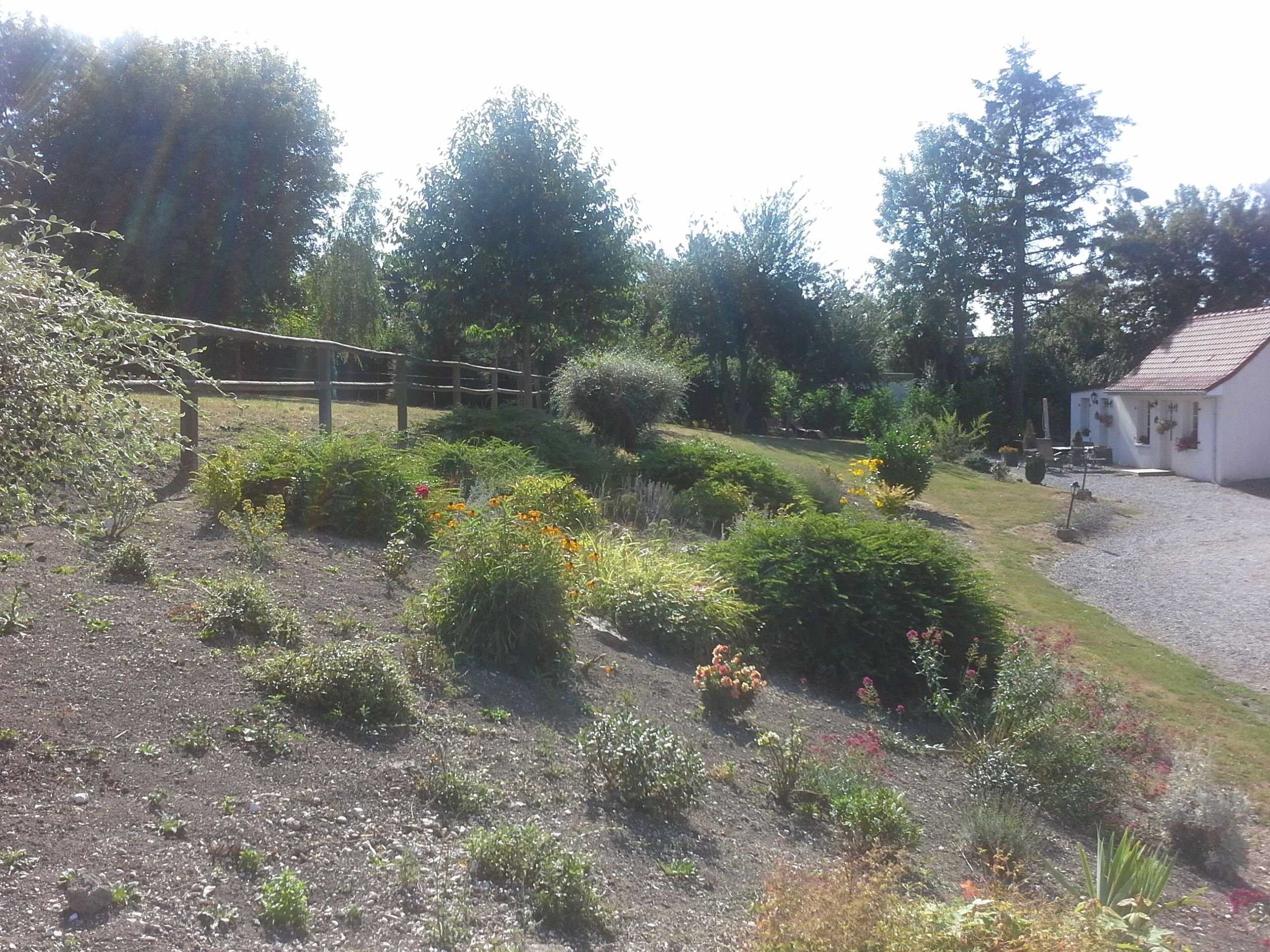 Een tuin met diverse planten en bloemen, een houten omheining en een gebouw met een rood dak.