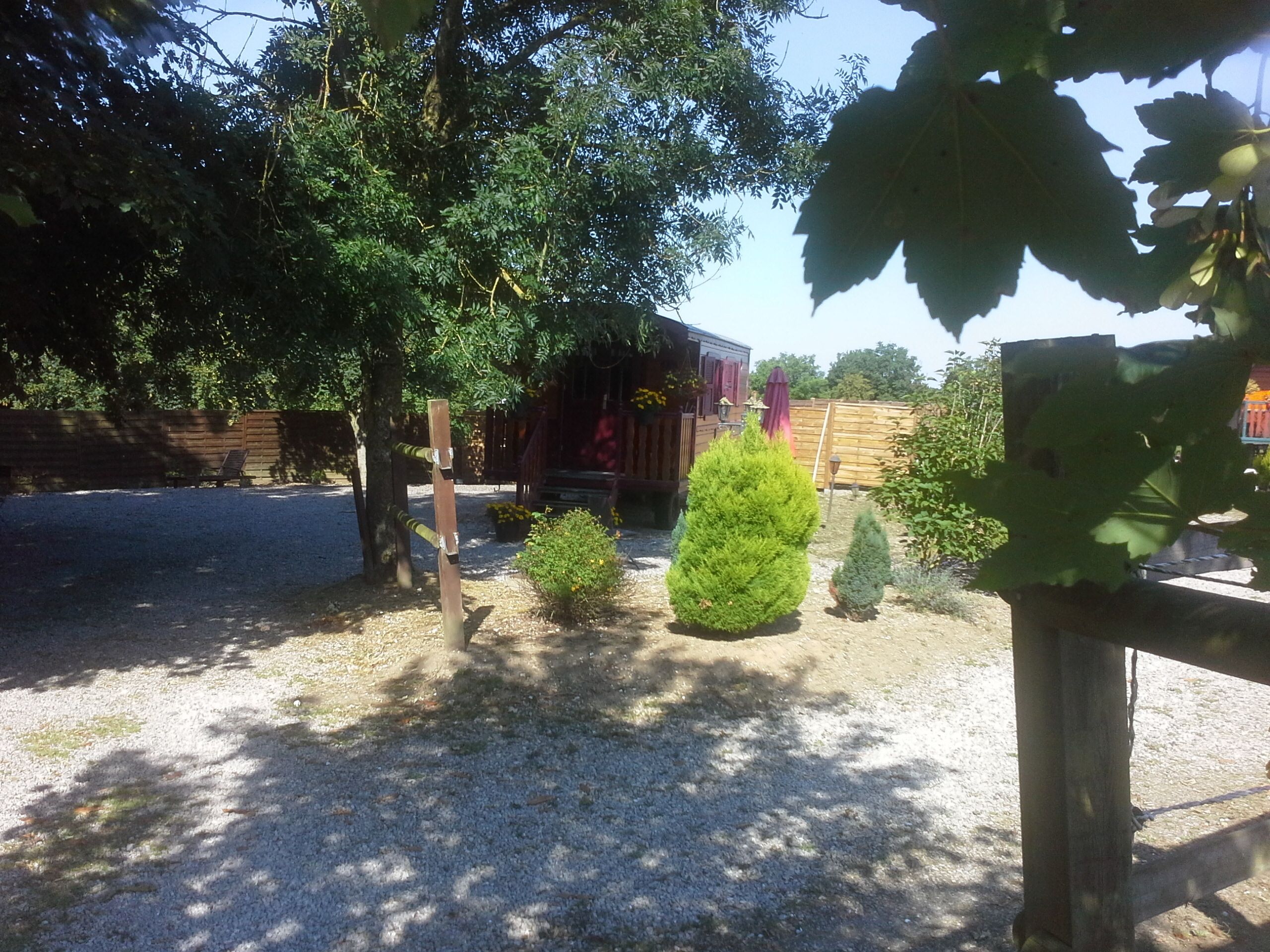 A gravel driveway leading to a wooden house with a fenced yard, surrounded by trees.