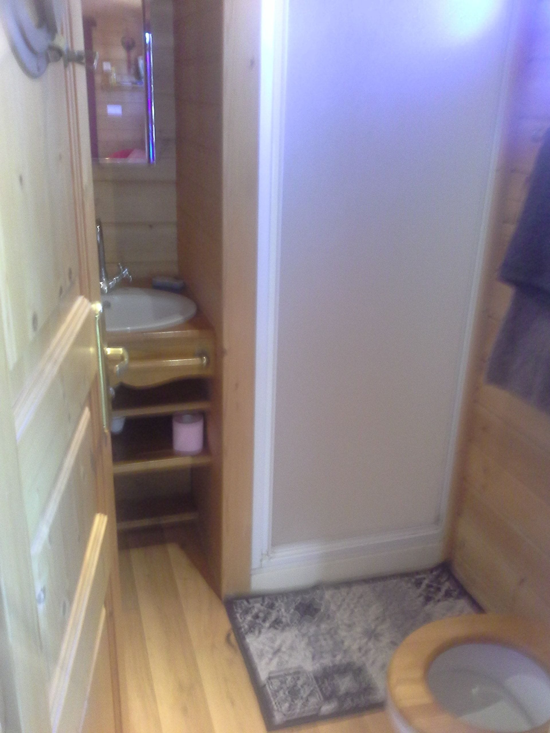 A small bathroom with a wooden floor, a toilet, a sink, and a mirror.